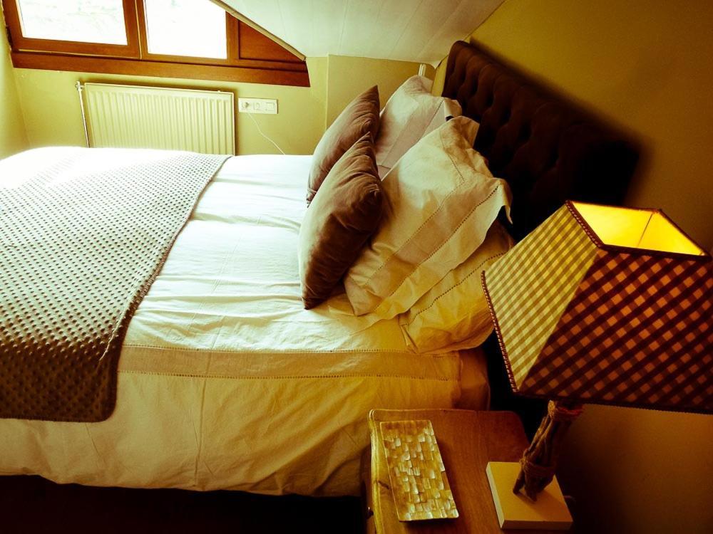Apartamentos Formigal - Admite Mascotas - Kültér fotó